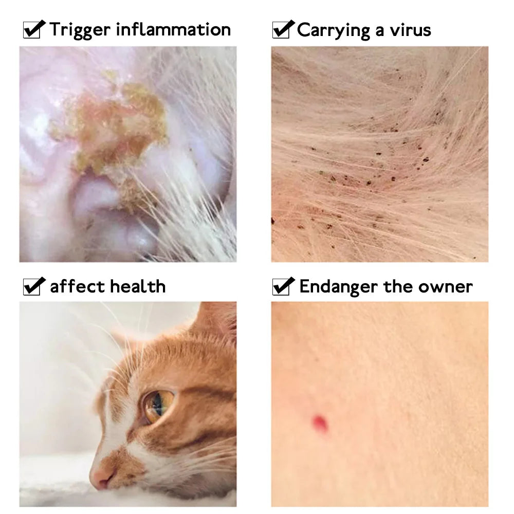 Coleira anti-pulgas e carraças para gato e cachorro, colar de proteção ajustável para cachorro e gatinho, antiparasacontra pet, acessórios para animais
