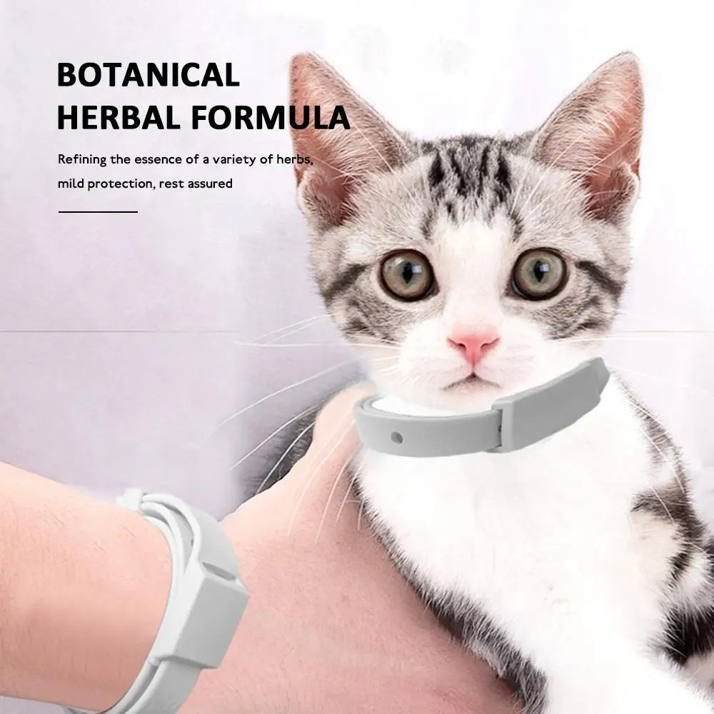 Coleira anti-pulgas e carraças para gato e cachorro, colar de proteção ajustável para cachorro e gatinho, antiparasacontra pet, acessórios para animais